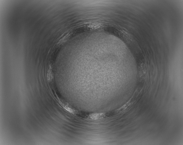 X0000053100136200507251641
