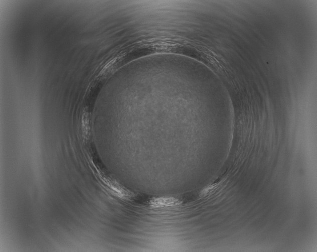 X0000053100137200507251641