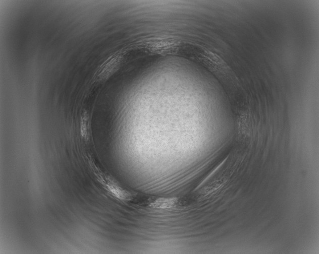 X0000053100138200507251641