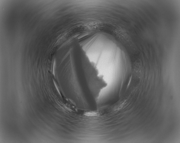 X0000053100139200507251641
