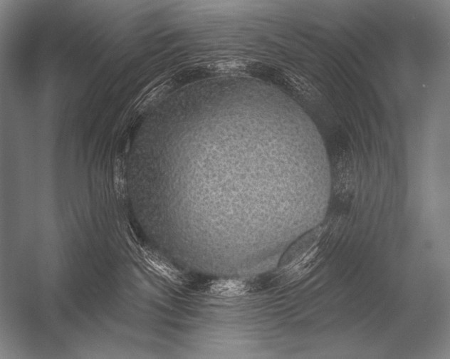 X0000053100140200507251641