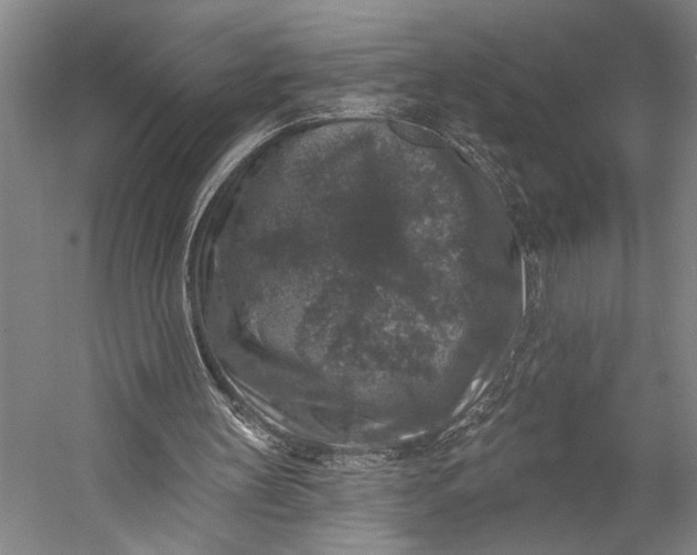 X0000053100147200507251640