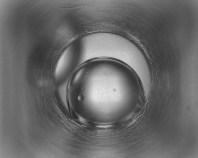 X0000053100154200507251640