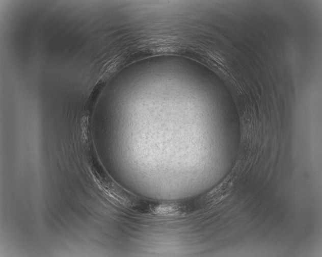 X0000053100171200507251640