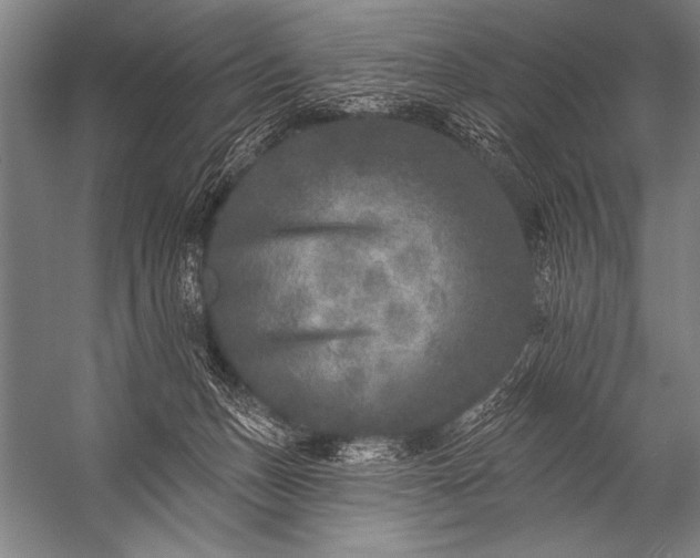 X0000053100175200507251640