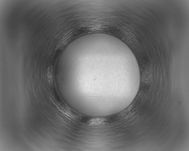 X0000053100179200507251640