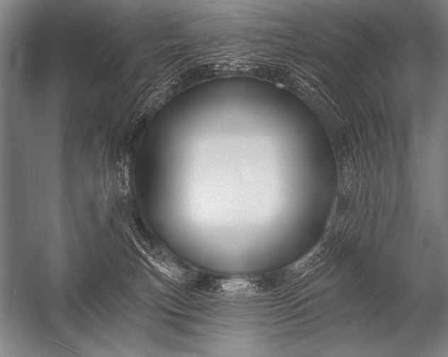 X0000053100183200507251640