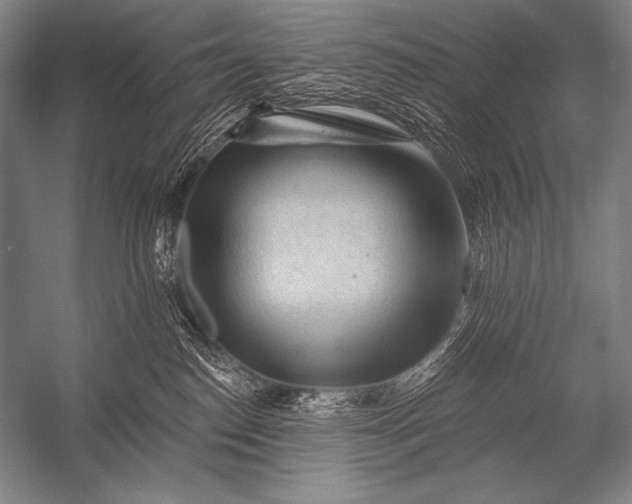 X0000053100186200507251640