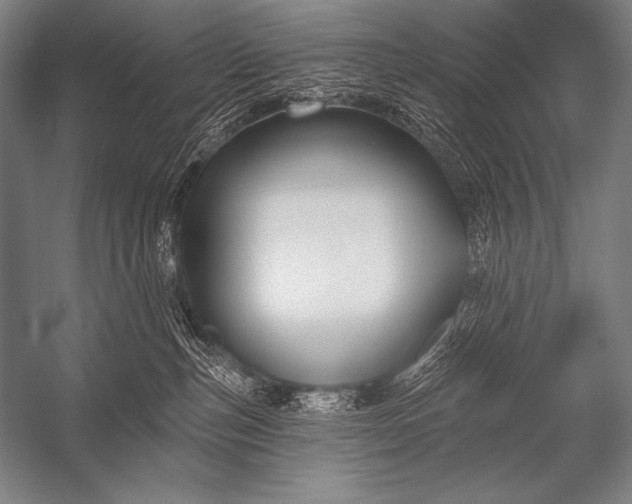 X0000053100187200507251640