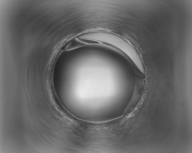 X0000053100193200507251640