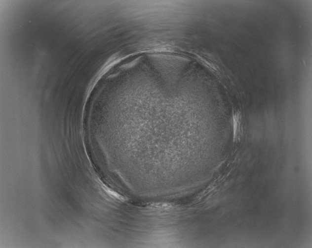X0000053100195200507251640