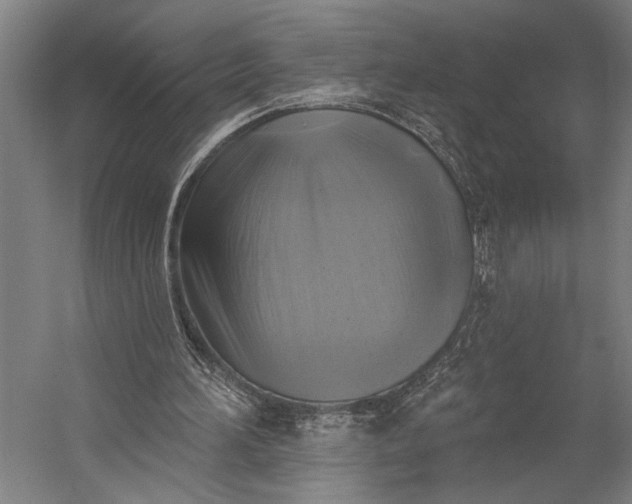 X0000053100196200507251640