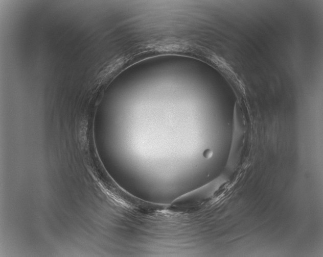 X0000053100201200507251639