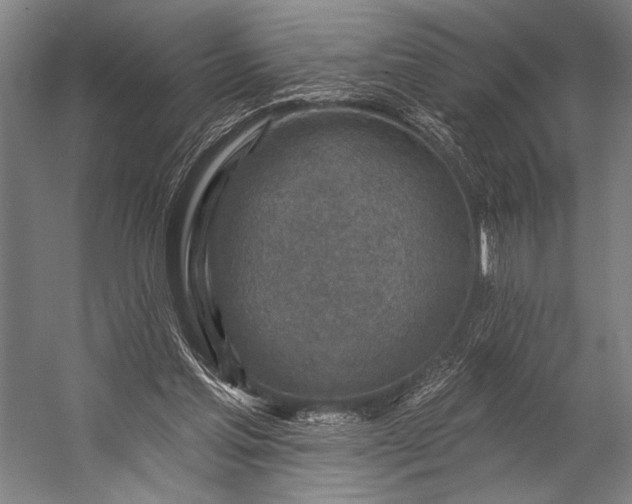 X0000053100205200507251639