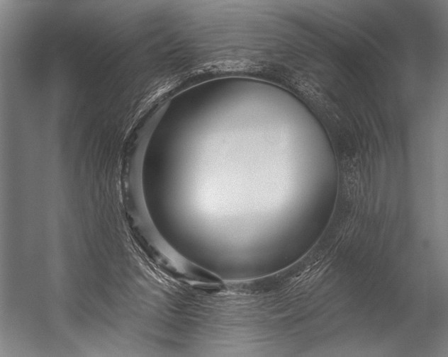 X0000053100207200507251639