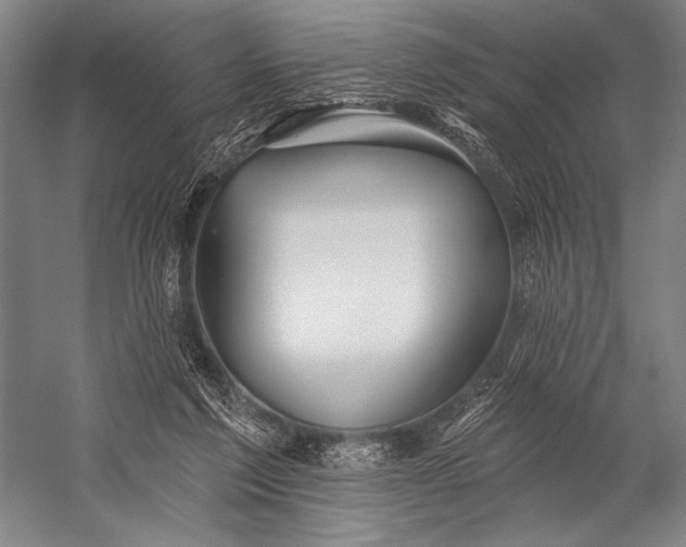X0000053100213200507251639