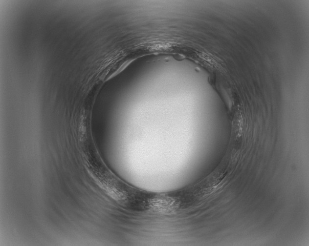 X0000053100215200507251639