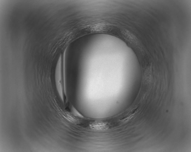 X0000053100217200507251639