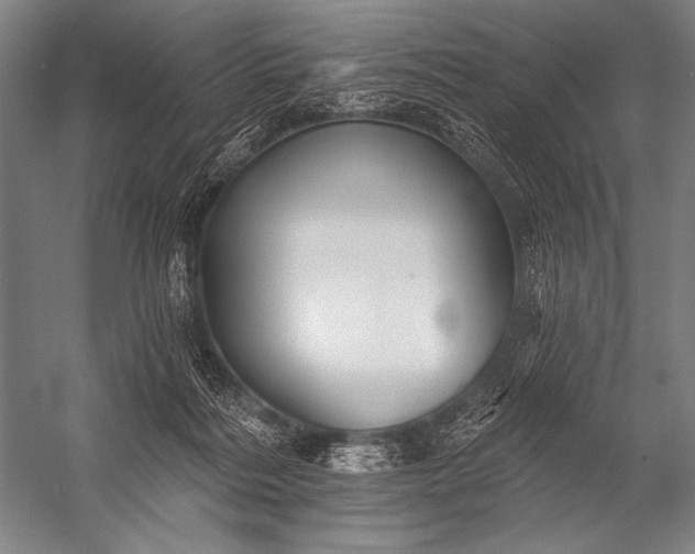 X0000053100220200507251639