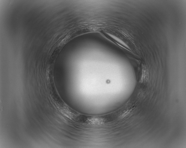 X0000053100221200507251639