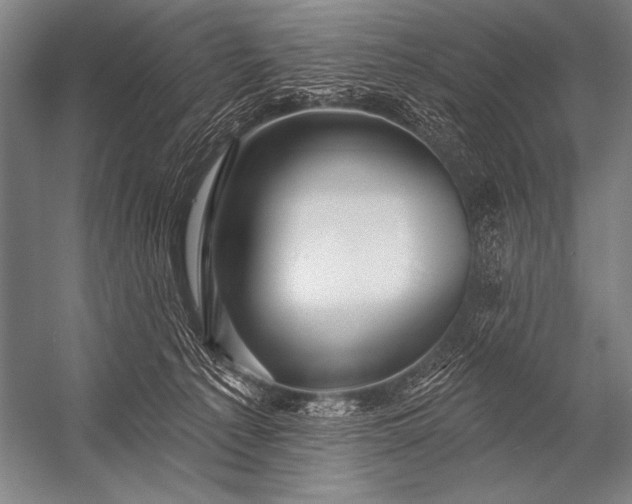 X0000053100225200507251639