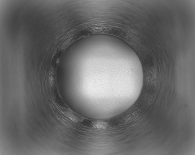 X0000053100226200507251639