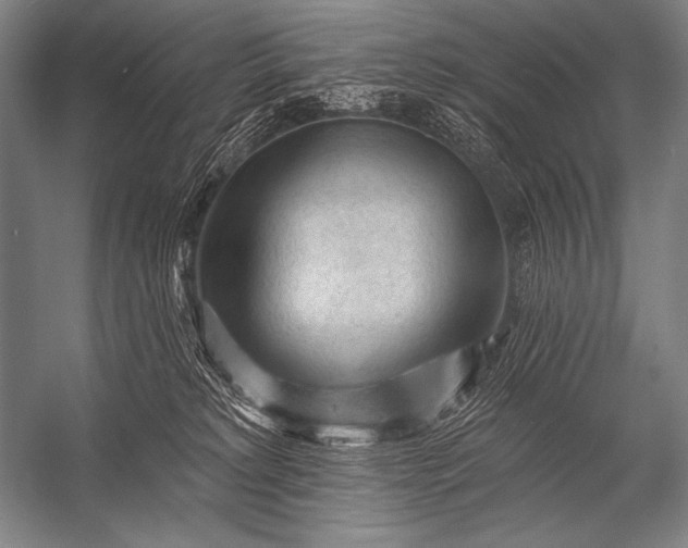 X0000053100229200507251639