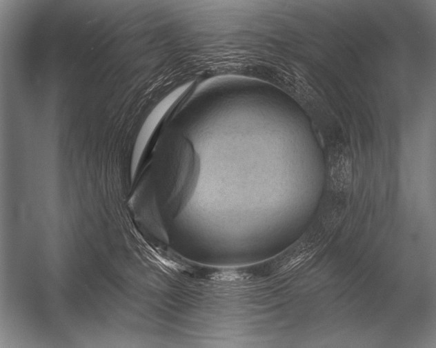 X0000053100231200507251639