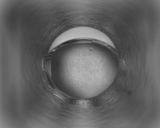 X0000053100233200507251639