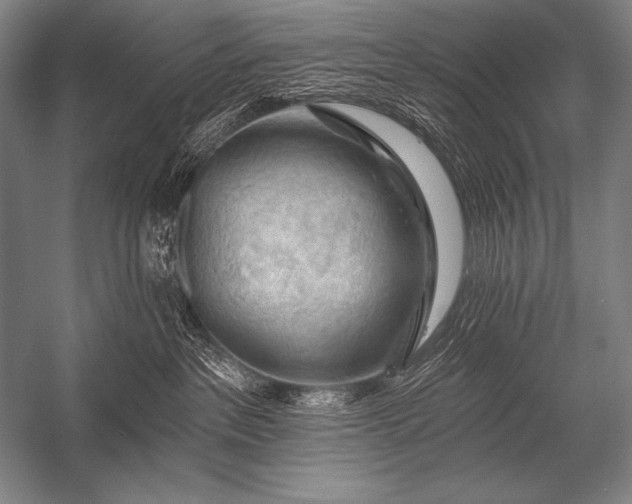 X0000053100237200507251639