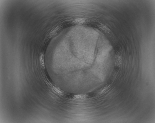 X0000053100238200507251639