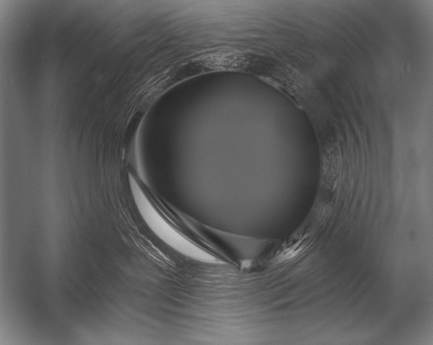 X0000053100239200507251639