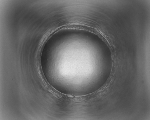 X0000053100241200507251638