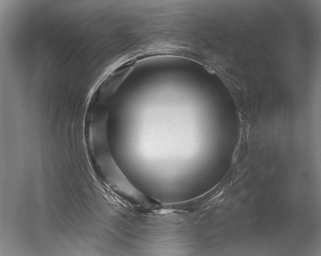 X0000053100244200507251638