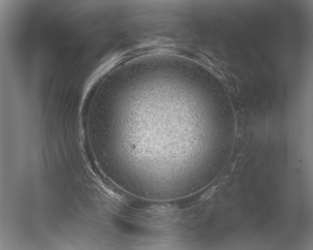 X0000053100245200507251638