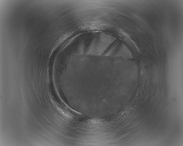 X0000053100250200507251638