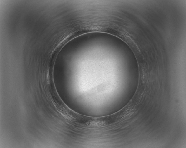 X0000053100251200507251638
