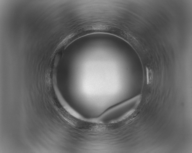 X0000053100252200507251638