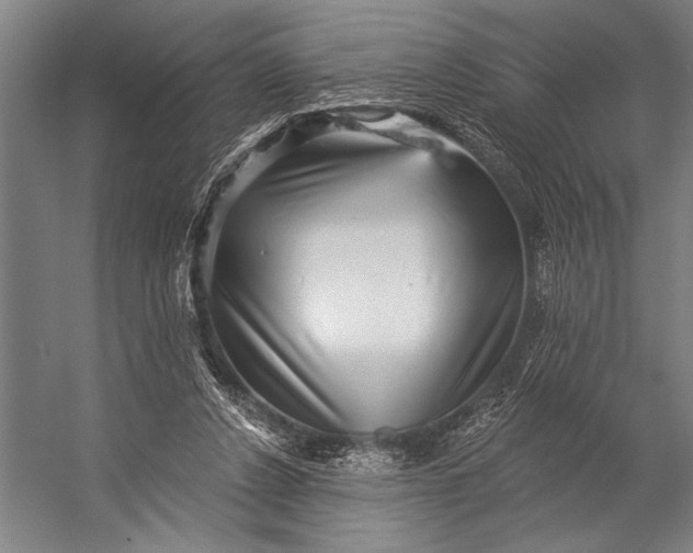 X0000053100256200507251638