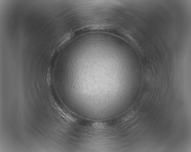 X0000053100261200507251638