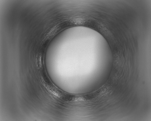 X0000053100262200507251638