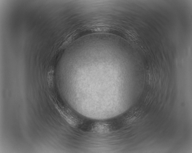 X0000053100263200507251638