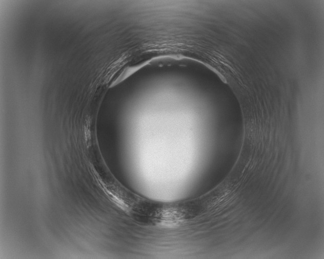 X0000053100264200507251638