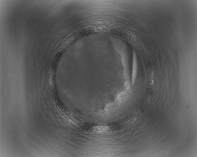 X0000053100266200507251638