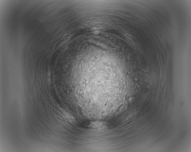 X0000053100269200507251638