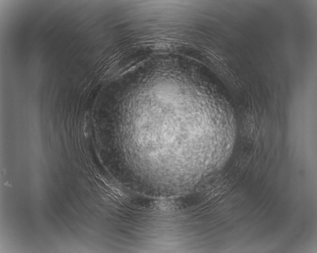 X0000053100273200507251639