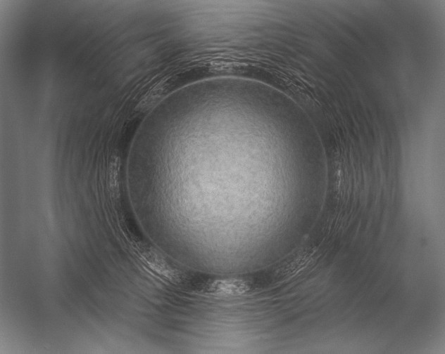 X0000053100275200507251639