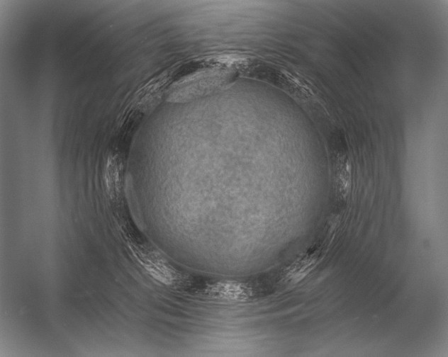 X0000053100276200507251639