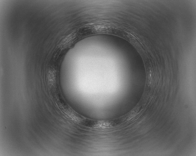 X0000053100278200507251639