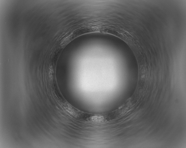 X0000053100279200507251639